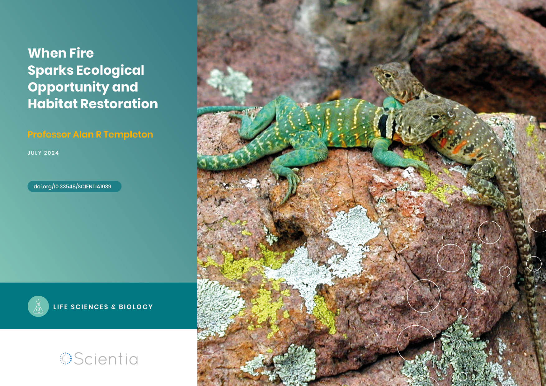 Professor Alan Templeton | When Fire Sparks Ecological Opportunity and Habitat Restoration